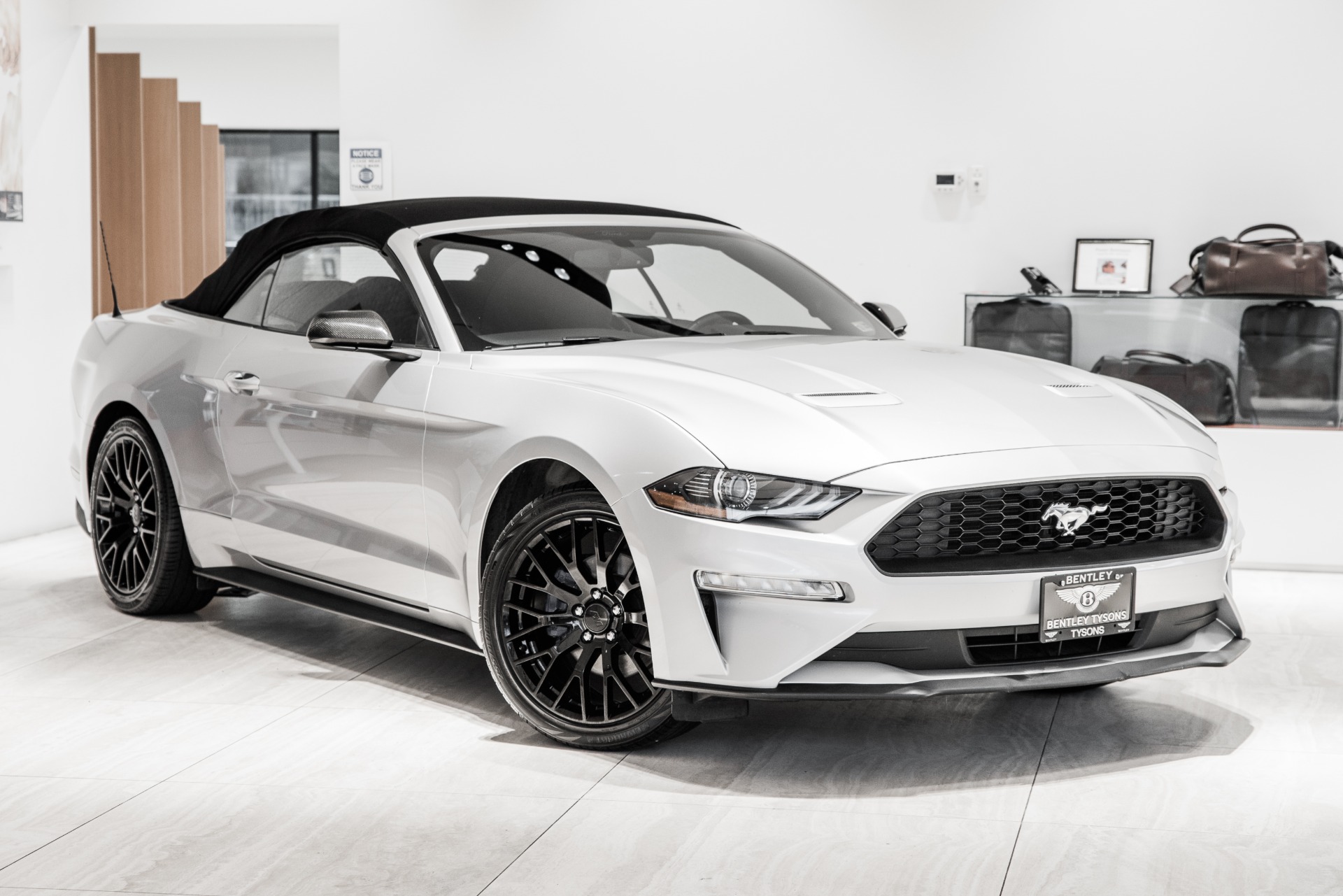Used 2019 Ford Mustang For Sale (Sold) | Exclusive Automotive Group